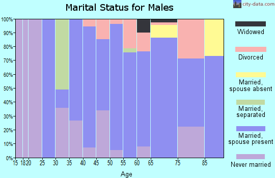 Zip code 03862 marital status for males