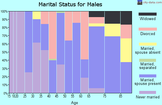 Zip code 03864 marital status for males