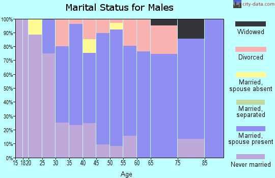 Zip code 03865 marital status for males