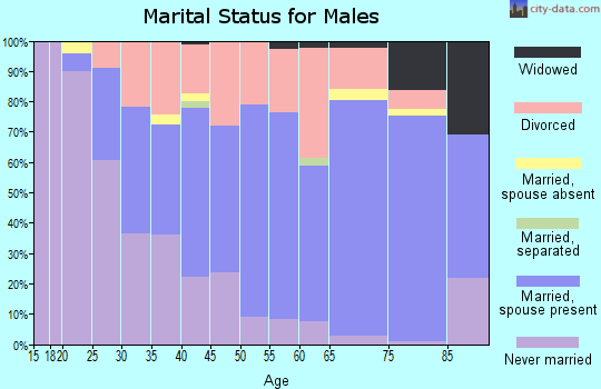Zip code 03867 marital status for males
