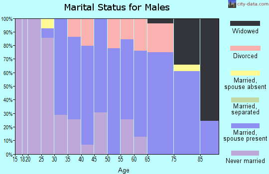 Zip code 03868 marital status for males
