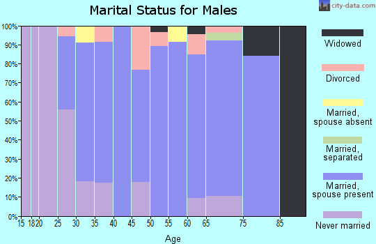 Zip code 03869 marital status for males