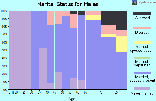 Zip code 03870 marital status for males