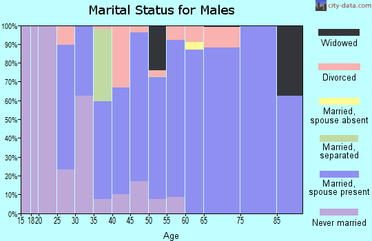 Zip code 03872 marital status for males