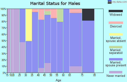 Zip code 03873 marital status for males