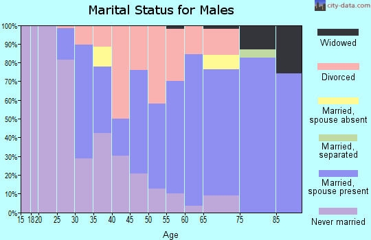 Zip code 03874 marital status for males
