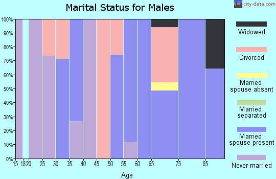 Zip code 03875 marital status for males
