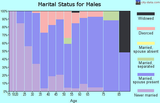 Zip code 03878 marital status for males