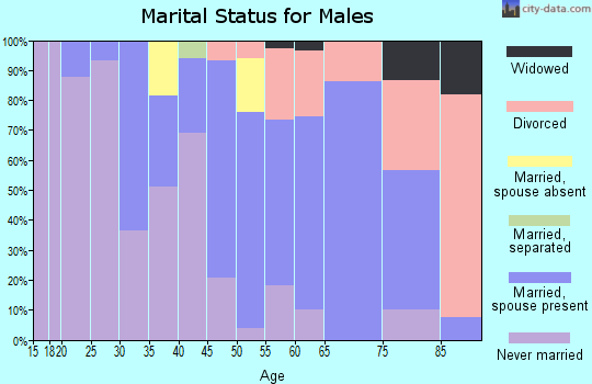 Zip code 03882 marital status for males