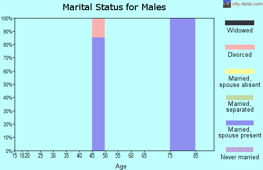 Zip code 03883 marital status for males