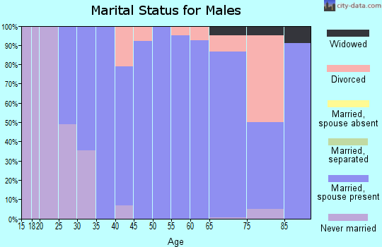 Zip code 03884 marital status for males