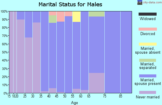 Zip code 03885 marital status for males