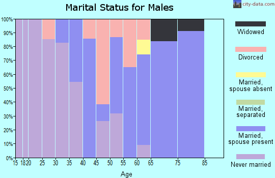 Zip code 03886 marital status for males