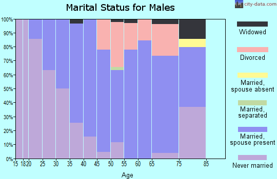 Zip code 03887 marital status for males