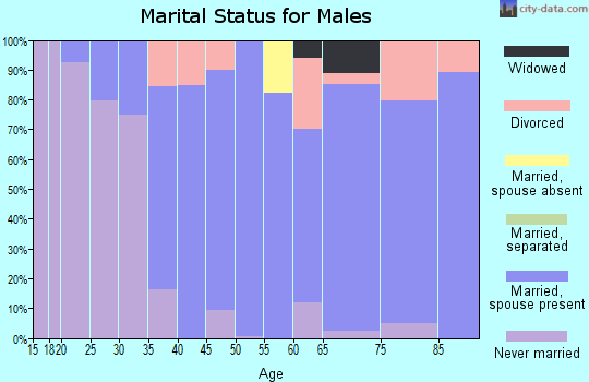 Zip code 03894 marital status for males