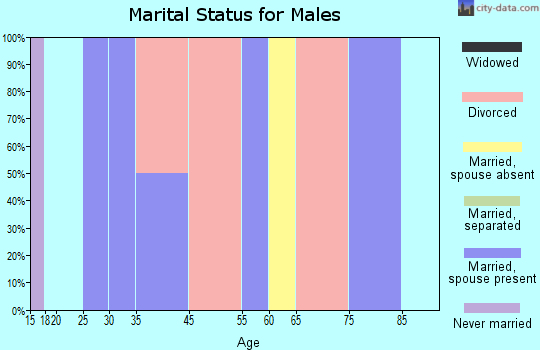 Zip code 03897 marital status for males