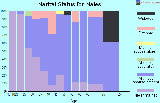 Zip code 03901 marital status for males