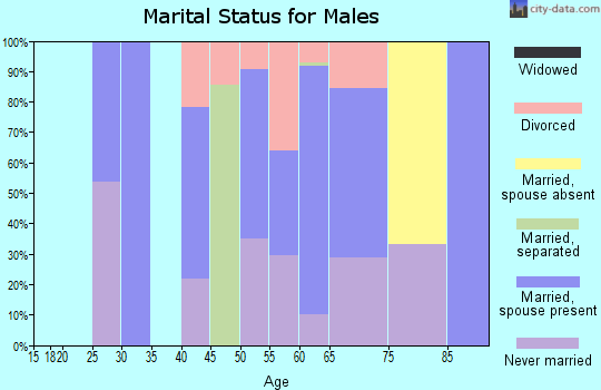 Zip code 03902 marital status for males