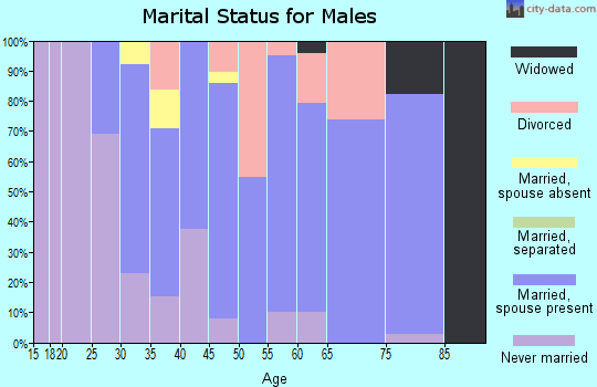 Zip code 03903 marital status for males