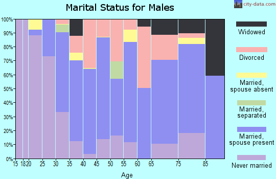 Zip code 03904 marital status for males