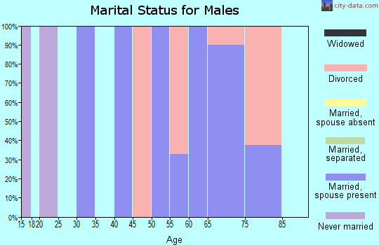 Zip code 03905 marital status for males
