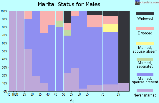 Zip code 03906 marital status for males