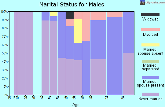 Zip code 03907 marital status for males