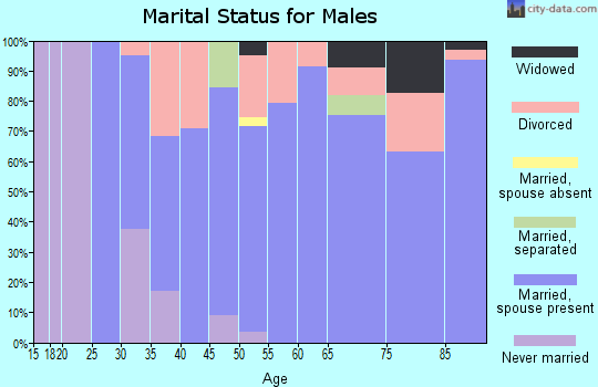 Zip code 03908 marital status for males