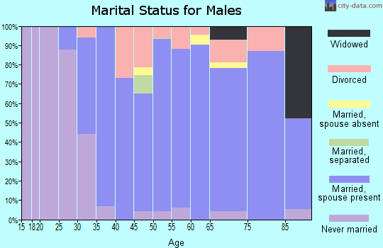 Zip code 03909 marital status for males