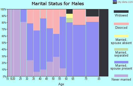 Zip code 04001 marital status for males