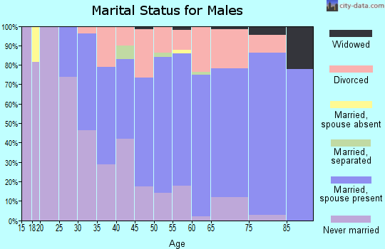 Zip code 04002 marital status for males