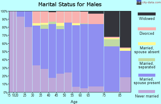 Zip code 04005 marital status for males