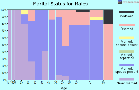 Zip code 04008 marital status for males