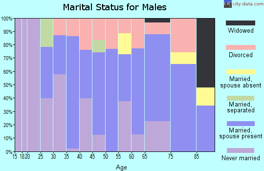 Zip code 04009 marital status for males