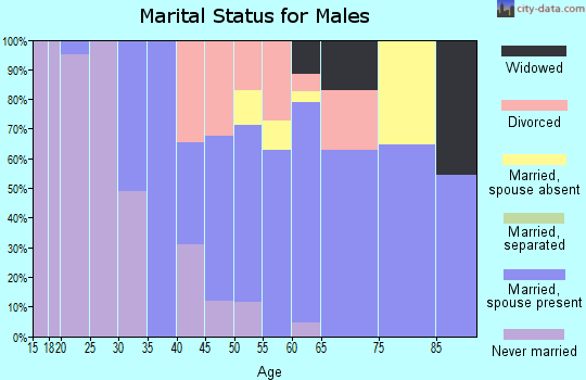Zip code 04010 marital status for males
