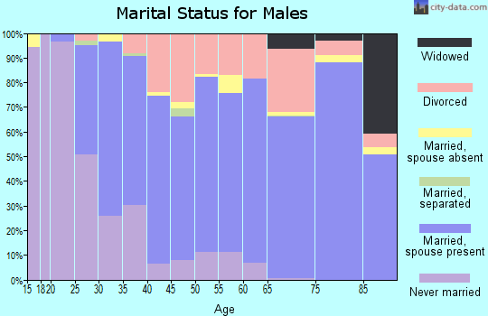 Zip code 04011 marital status for males