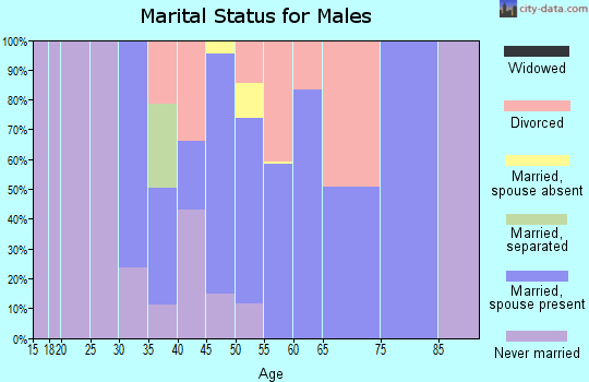 Zip code 04015 marital status for males