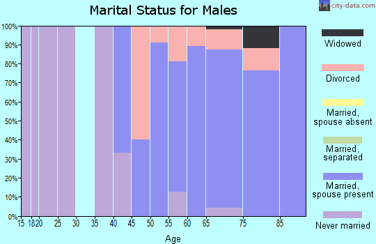 Zip code 04017 marital status for males