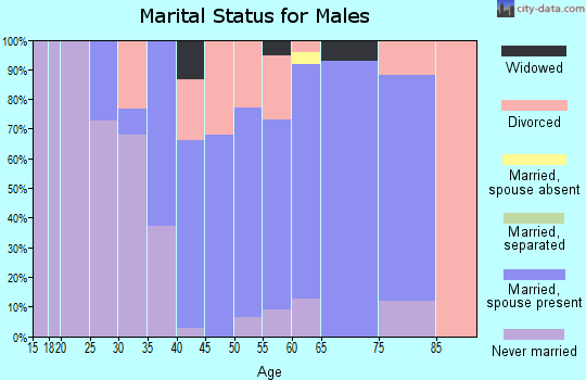 Zip code 04020 marital status for males