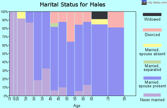 Zip code 04021 marital status for males
