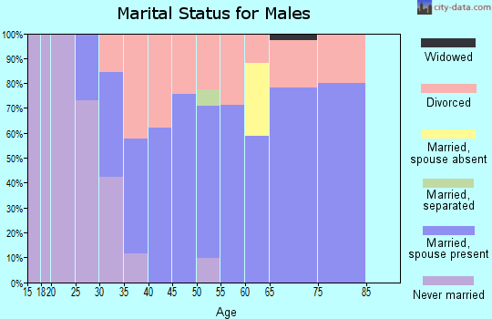 Zip code 04022 marital status for males