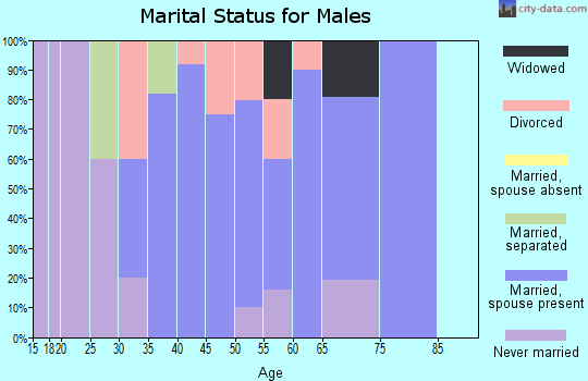 Zip code 04024 marital status for males
