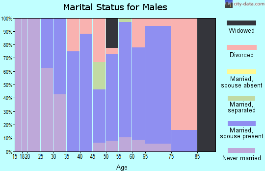 Zip code 04027 marital status for males