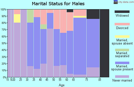 Zip code 04029 marital status for males
