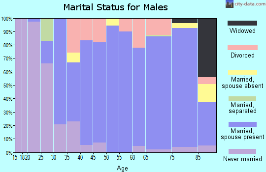Zip code 04032 marital status for males