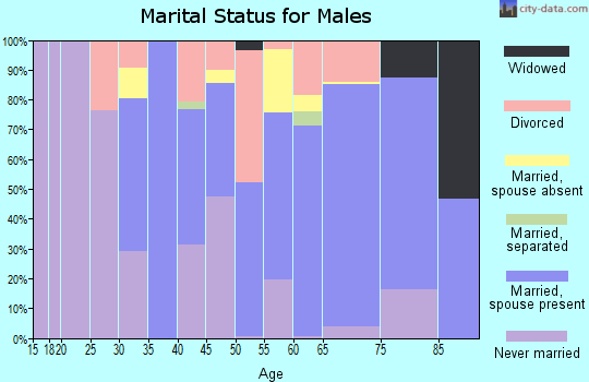 Zip code 04037 marital status for males
