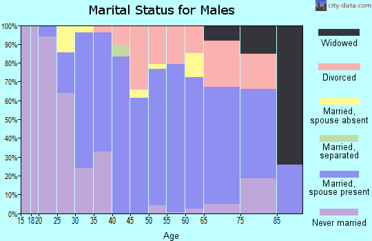 Zip code 04039 marital status for males