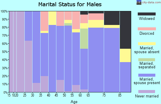 Zip code 04040 marital status for males