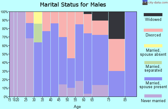 Zip code 04041 marital status for males