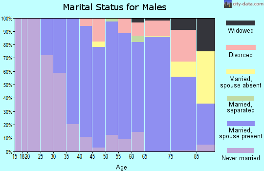 Zip code 04043 marital status for males